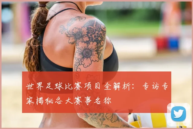 世界足球比赛项目全解析：专访专家揭秘各大赛事名称